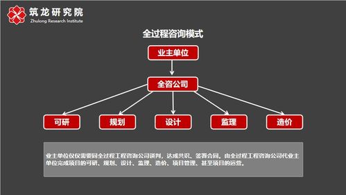 全過程咨詢 社會經濟咨詢服務的新范式與核心價值